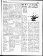 Síða 11