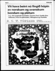 Síða 20