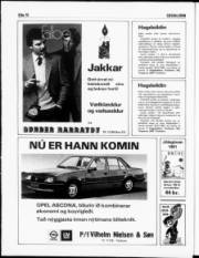 Síða 10