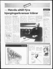 Síða 16