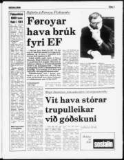 Síða 3