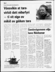 Síða 4