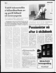 Síða 2