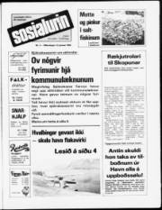Síða 1