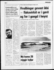 Síða 4