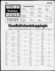 Síða 8