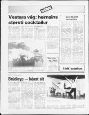 Síða 20