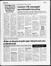 Síða 3