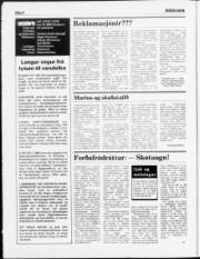 Síða 6