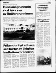 Síða 5