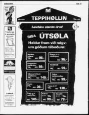 Síða 13
