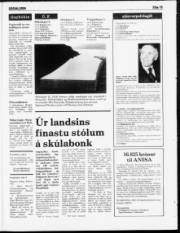 Síða 15