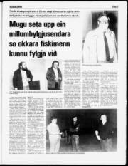 Síða 3
