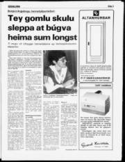 Síða 3