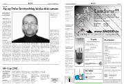 Síða 15
