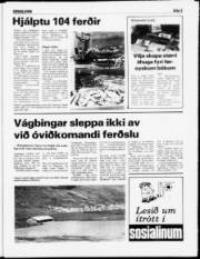 Síða 5