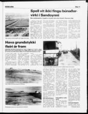 Síða 11