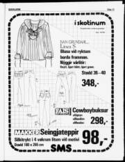 Síða 13