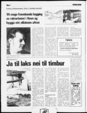 Síða 4