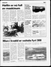 Síða 5