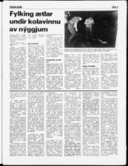Síða 3