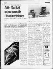 Síða 4