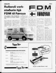 Síða 5