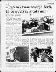 Síða 12
