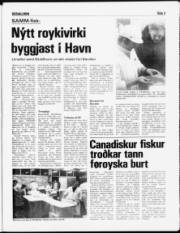 Síða 3