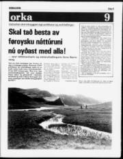 Síða 9