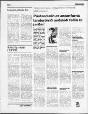 Síða 2