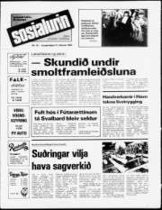 Síða 1