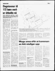 Síða 3