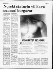 Síða 11