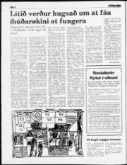 Síða 2