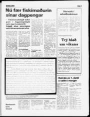 Síða 5