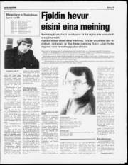 Síða 15