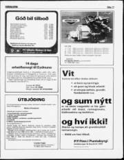 Síða 17