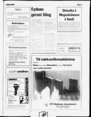 Síða 21
