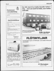 Síða 22