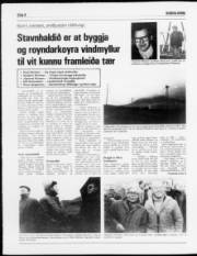 Síða 8