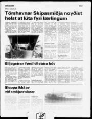 Síða 3