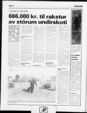 Síða 12