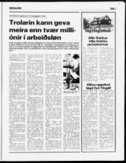 Síða 7