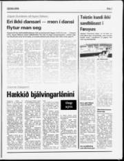 Síða 7