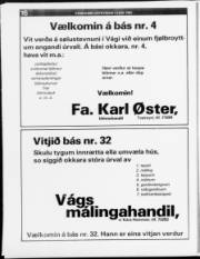 Síða 15