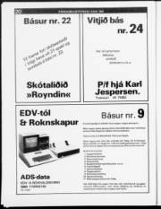 Síða 19
