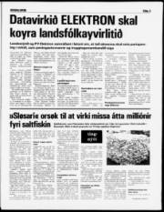 Síða 3