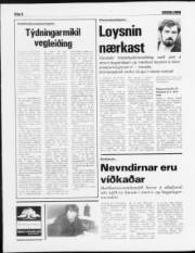 Síða 8