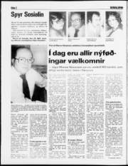 Síða 2
